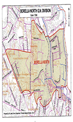 borellanorth