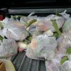 IMG-20210623-WA0036