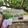 Haritha Saviya